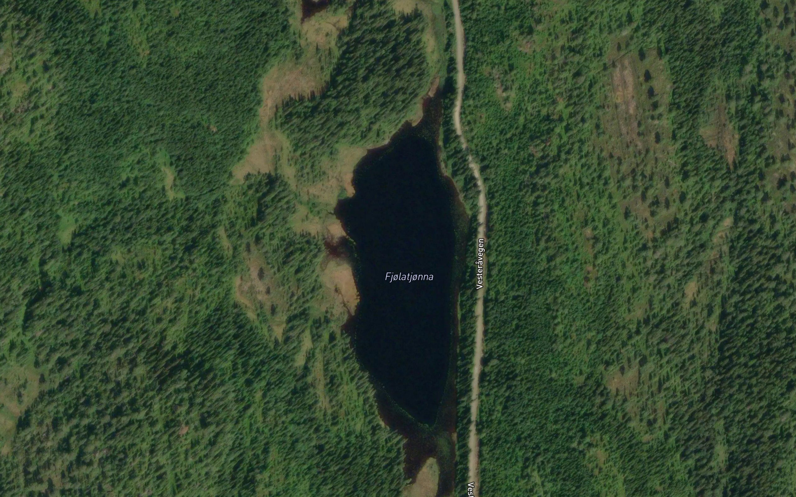 Fjolatjorna
