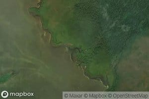 Kolpakori