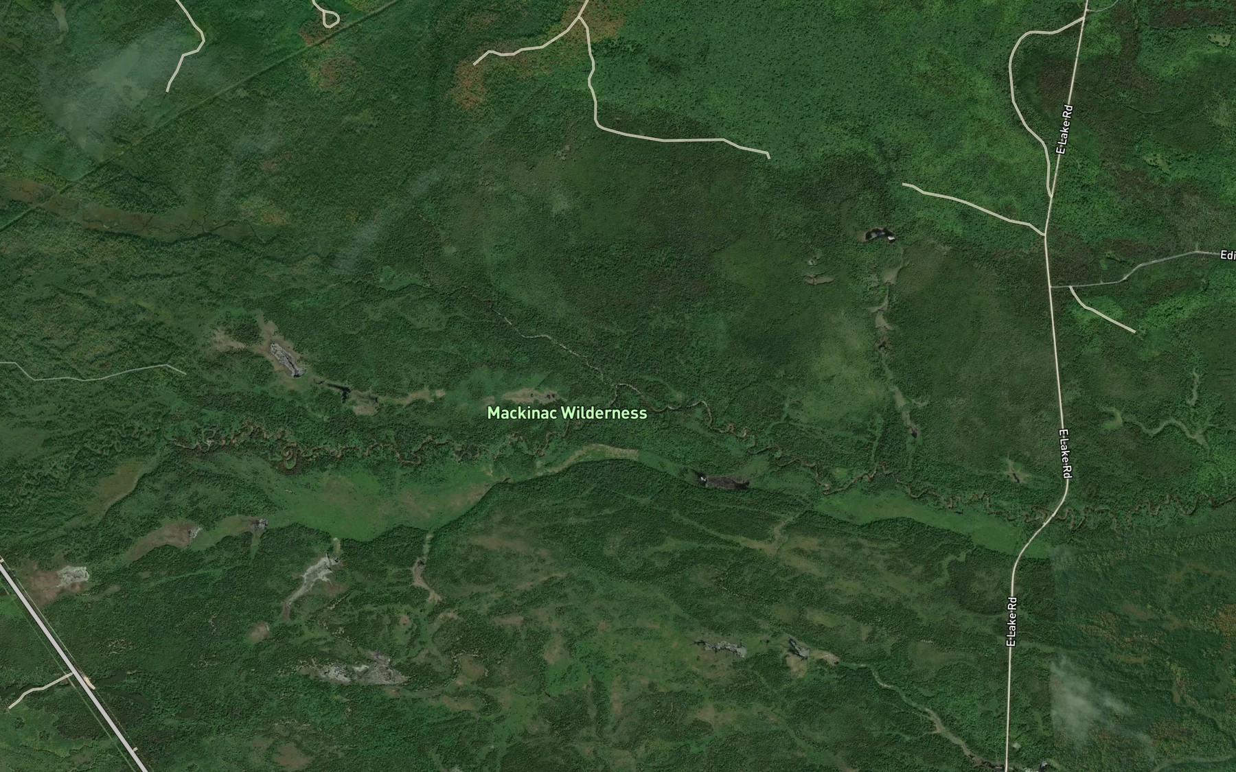 Satellite map of the North Branch Carp River