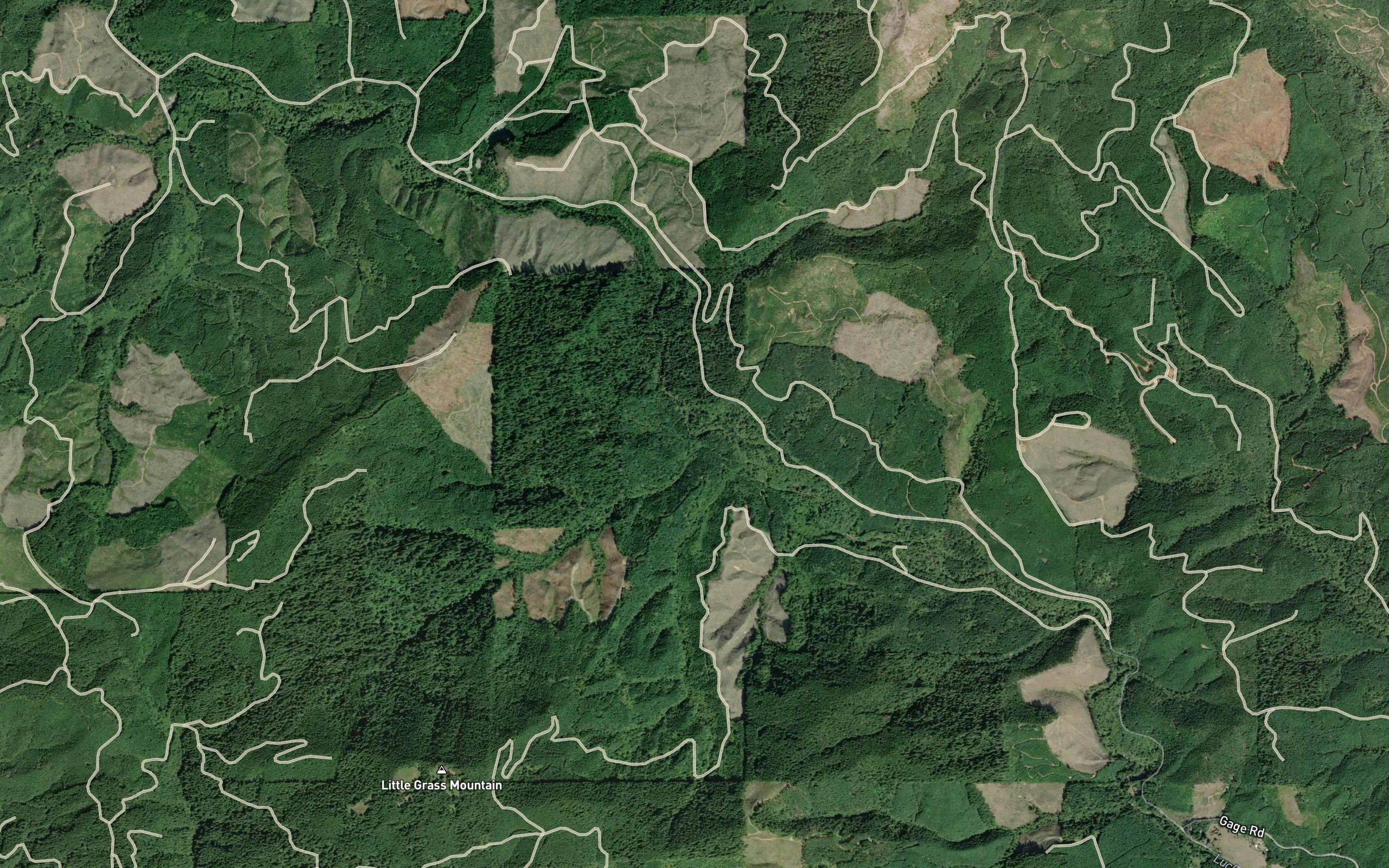 Cougar Creek