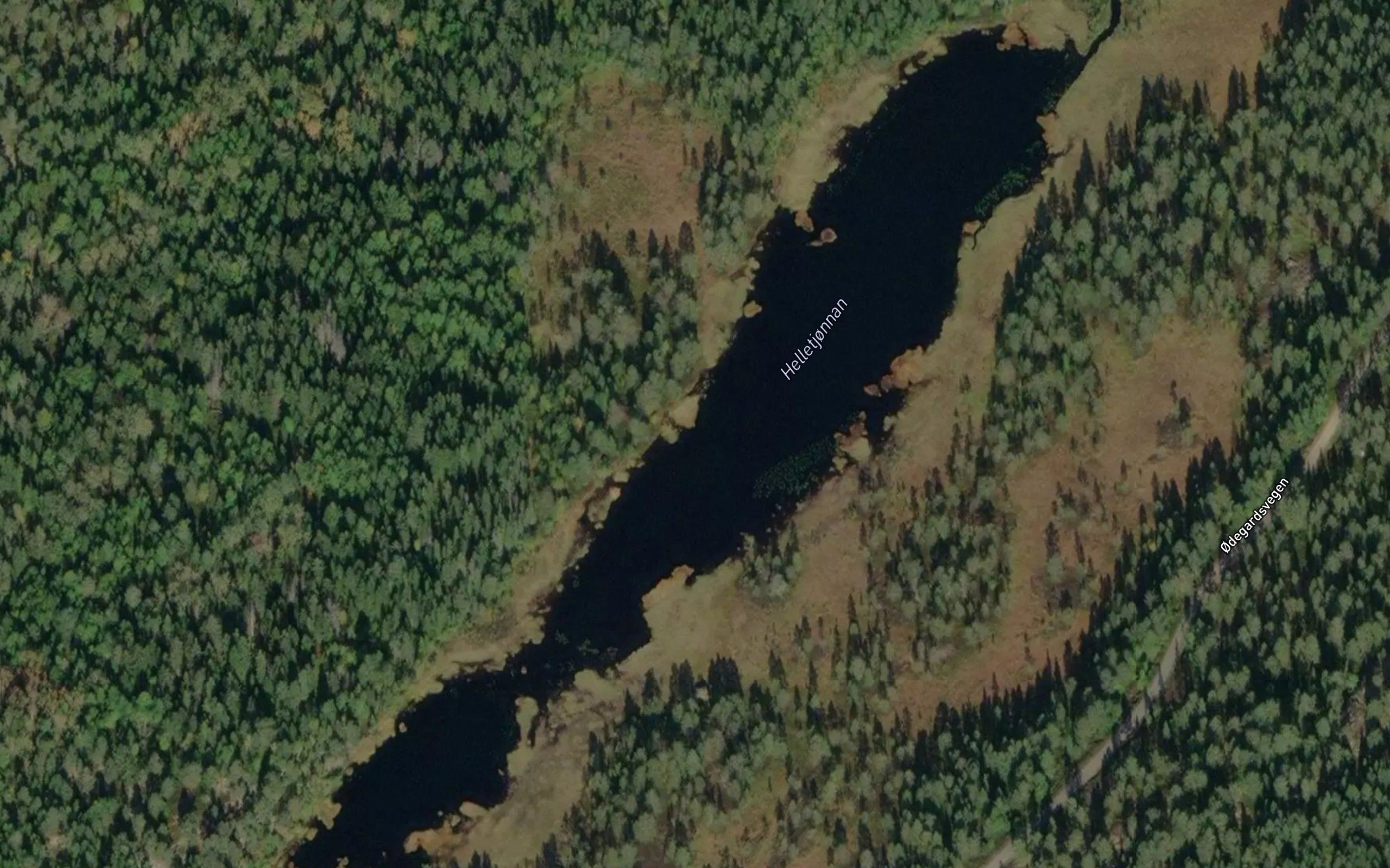 Austre Helletjorna