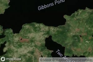 Gibbons Pond