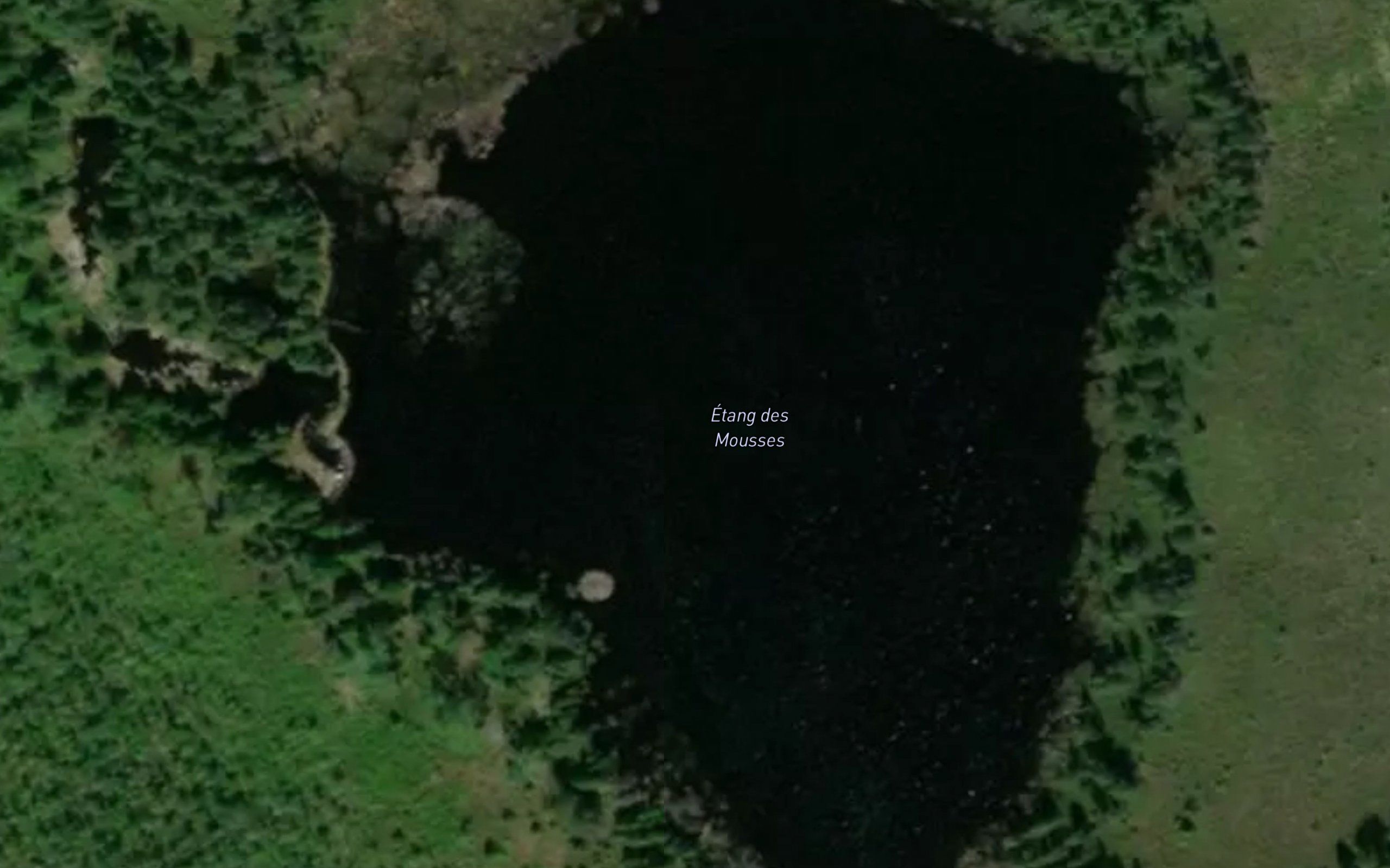 Etang des Mousses