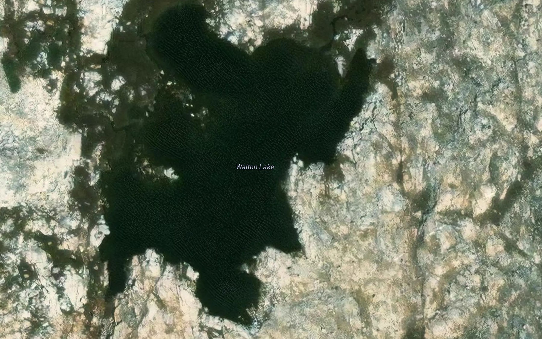 Satellite map of the Walton Lake