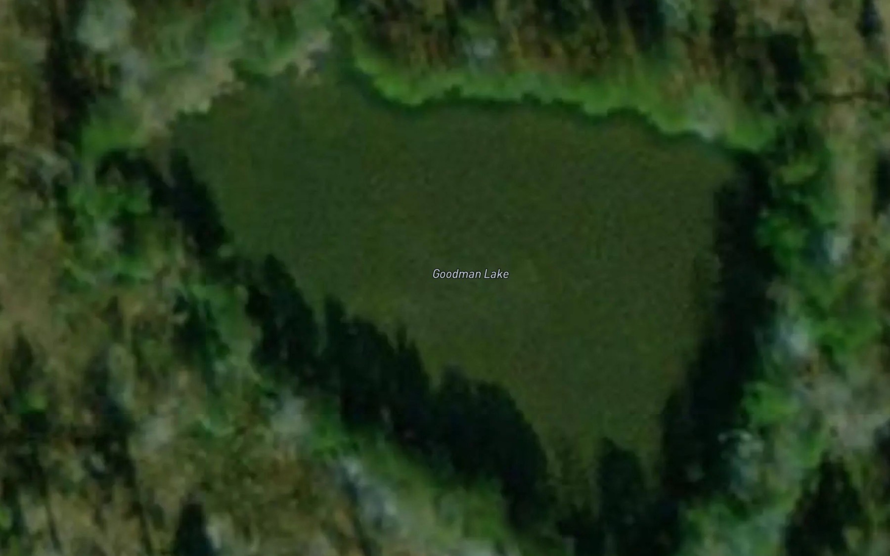 Satellite map of the Goodman Lake