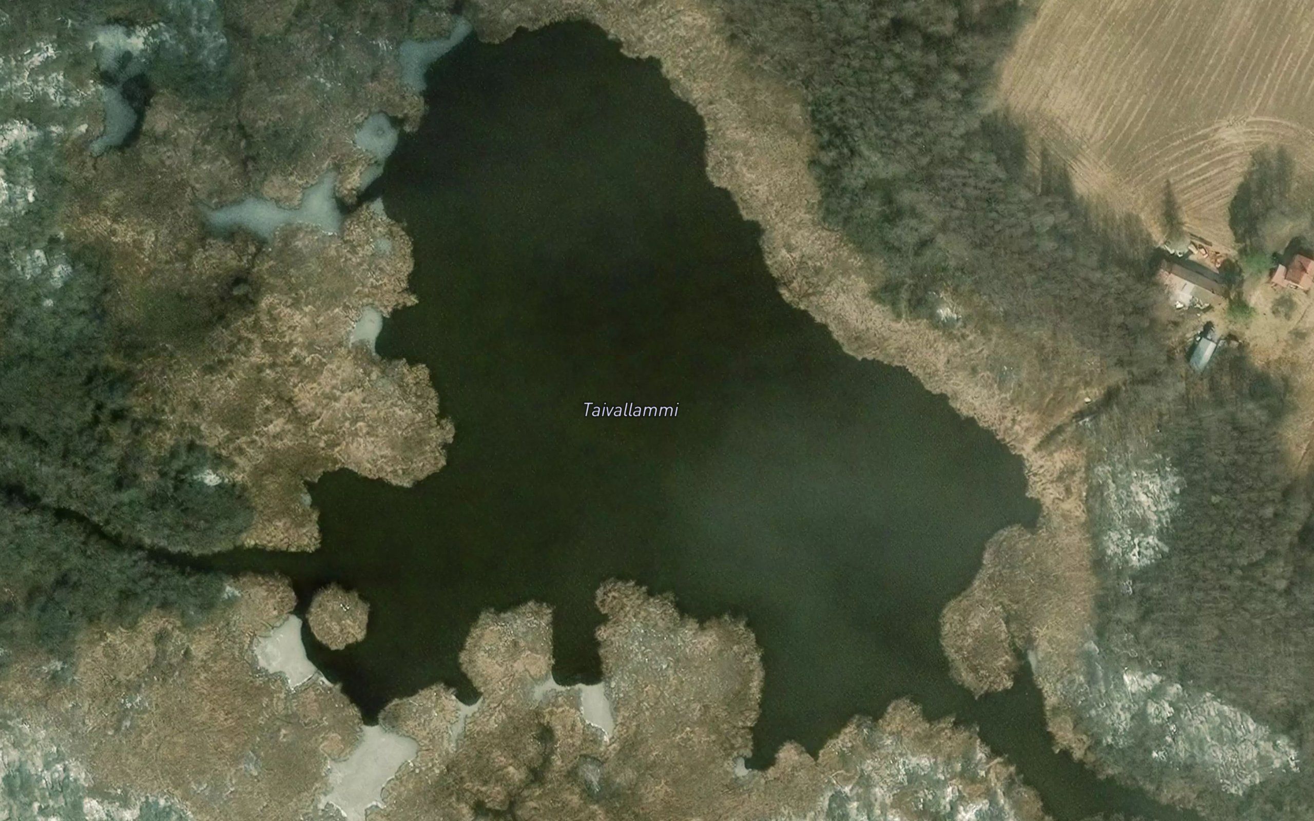Taivallammi
