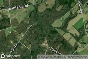 Little Beaverdam Creek