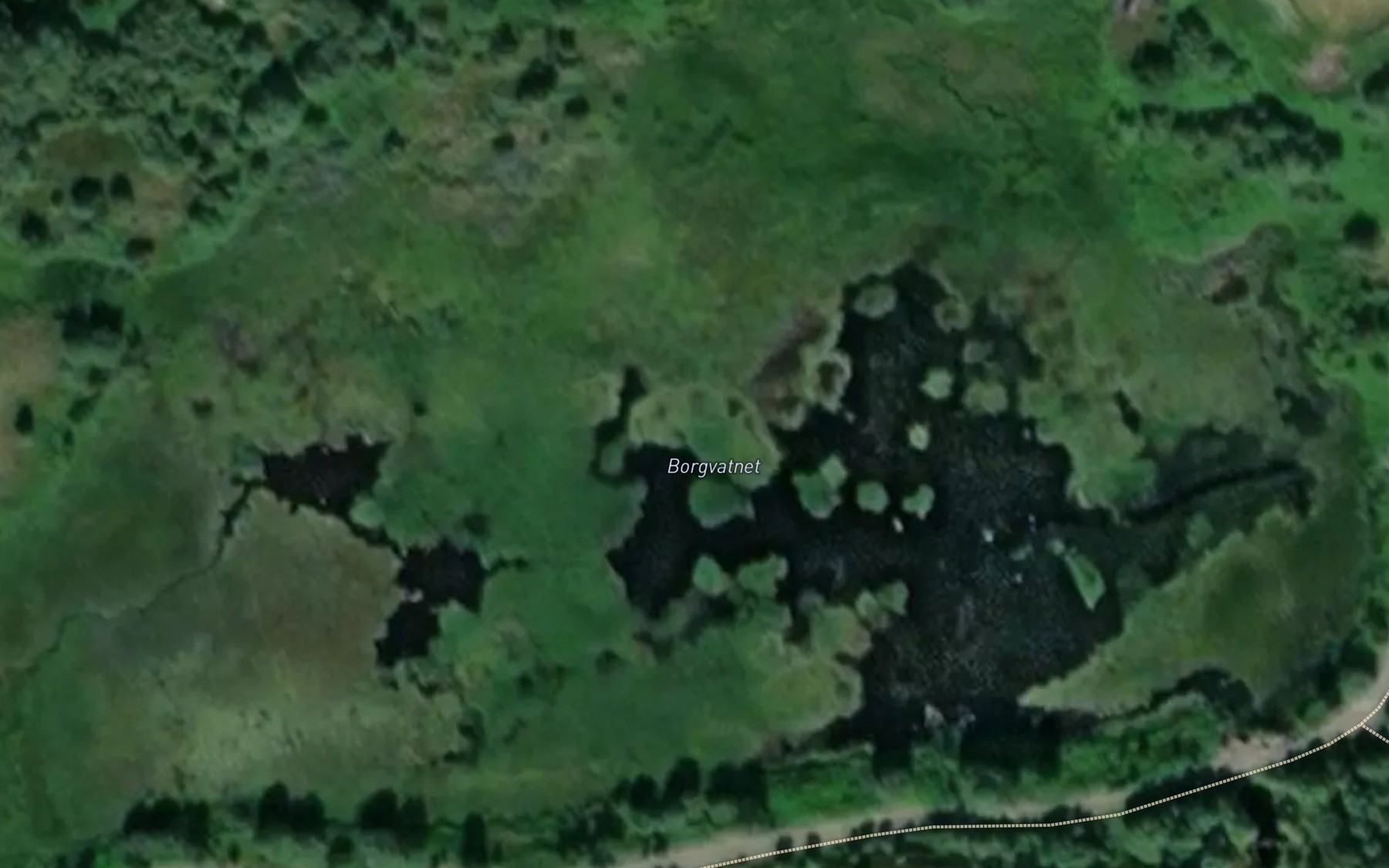 Satellite map of the Borgvatnet