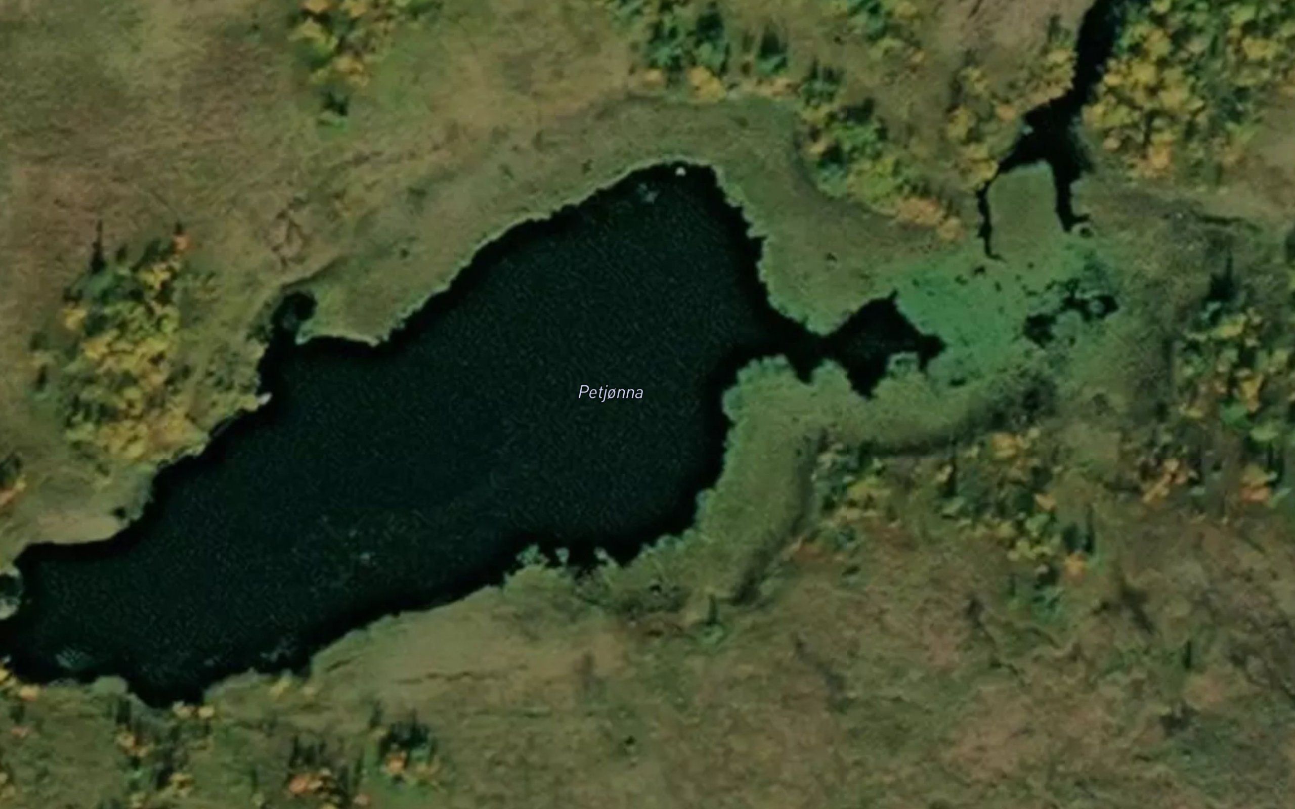 Pertjorna