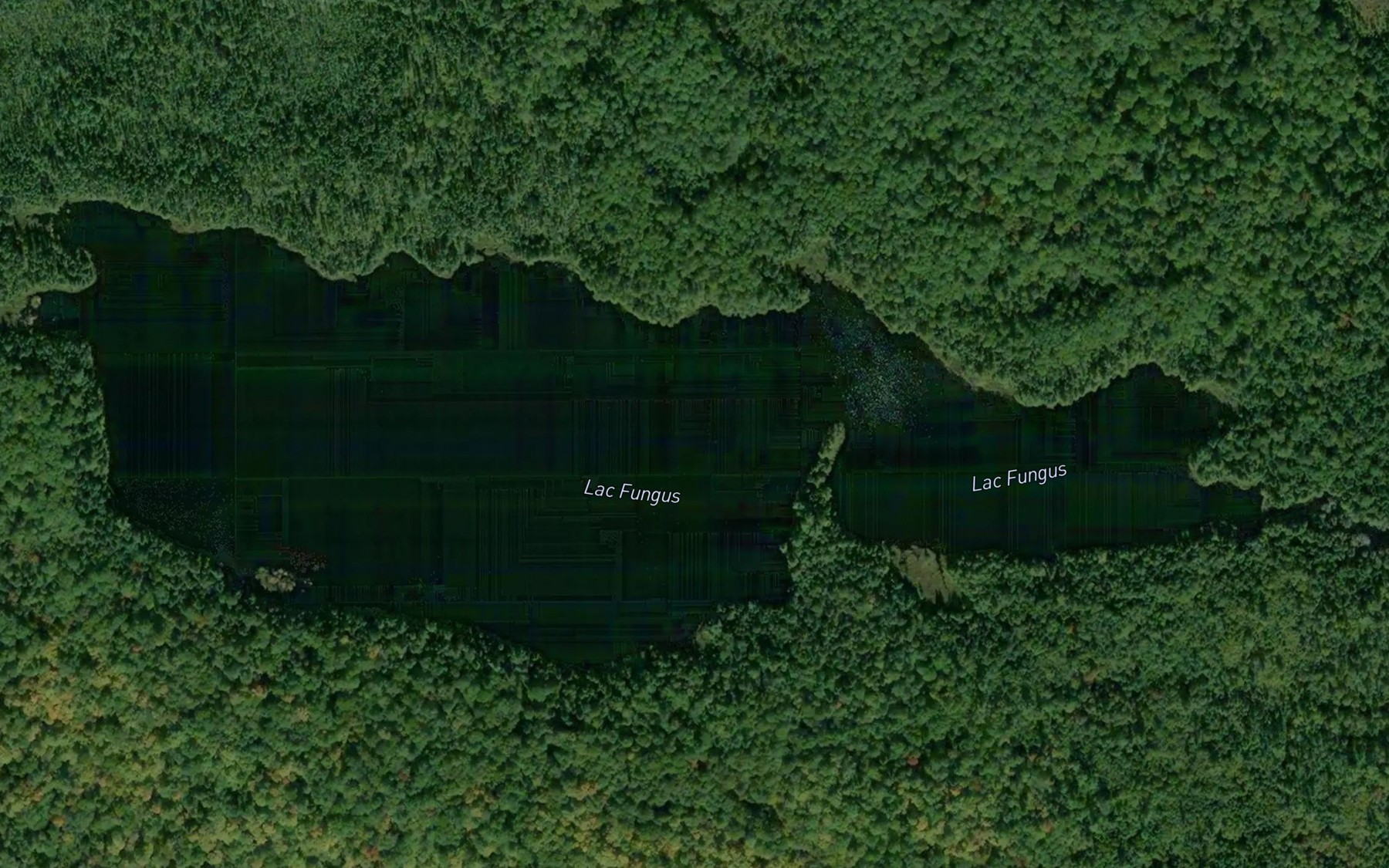 Satellite map of the Lac Fungus