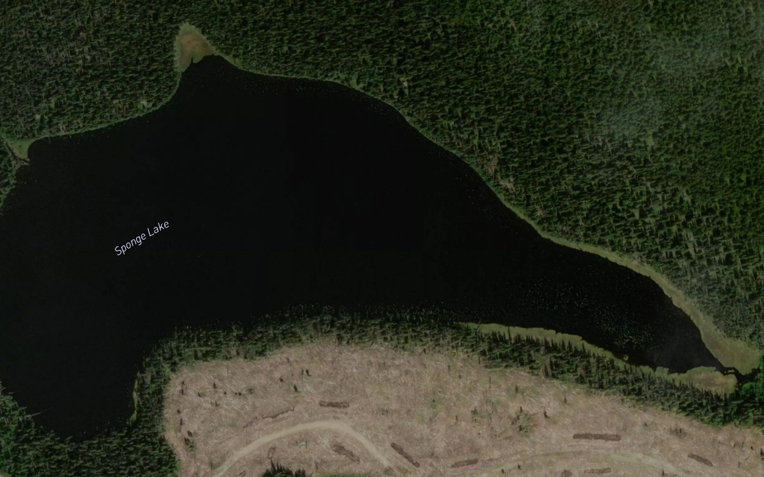 Sponge Lake