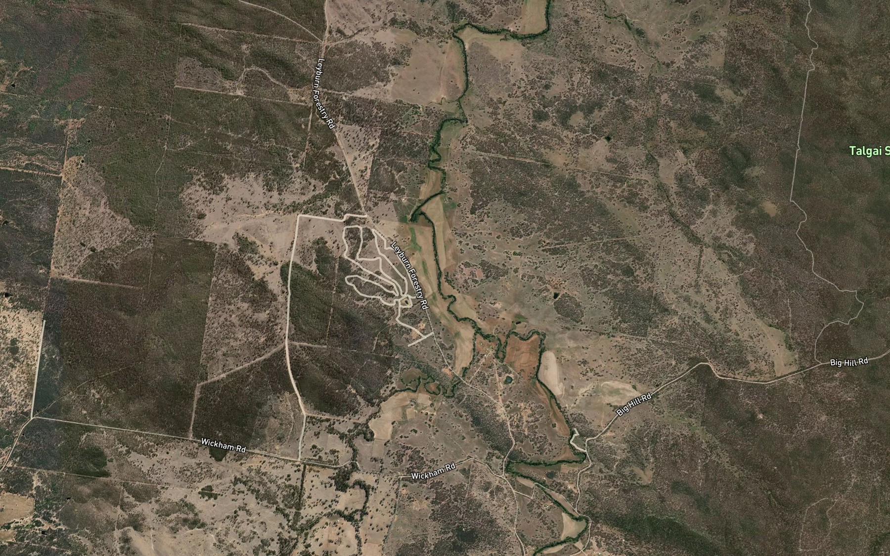 Satellite map of the Reedy Creek