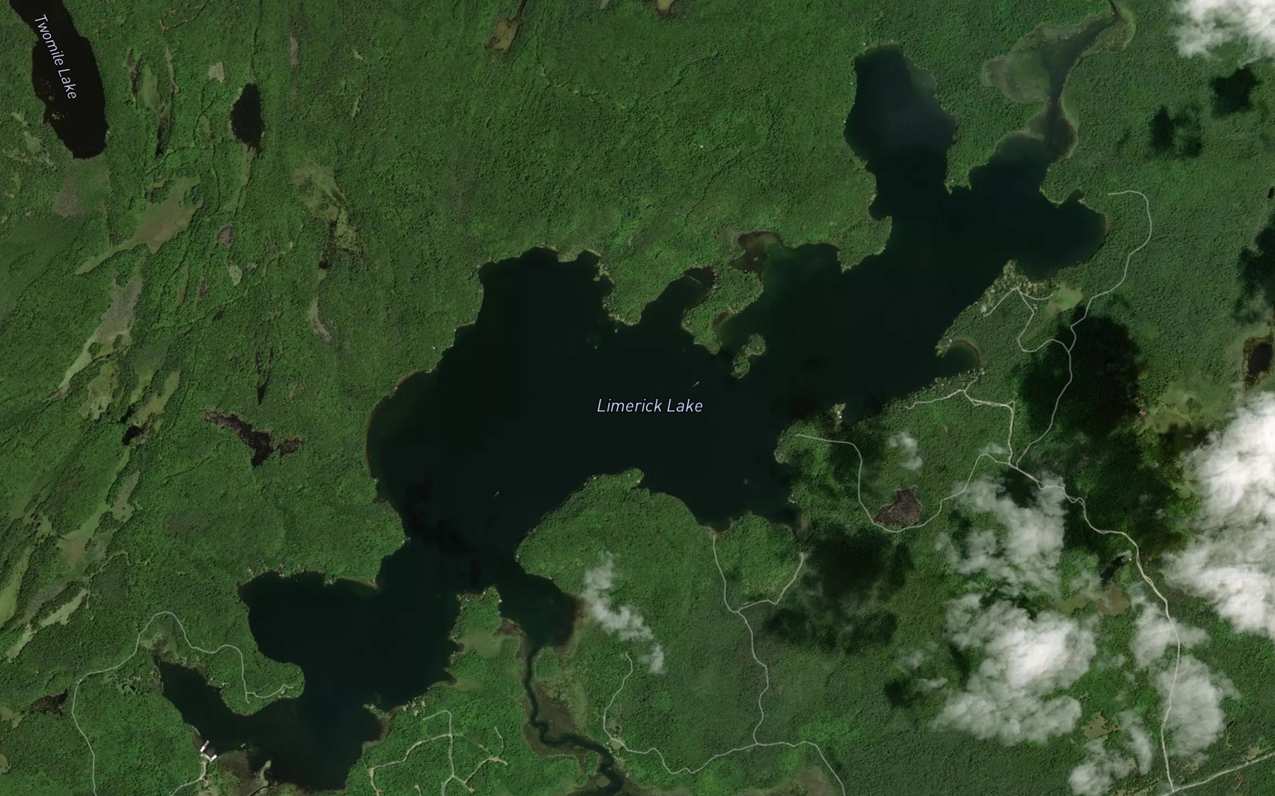 Satellite map of the Limerick Lake