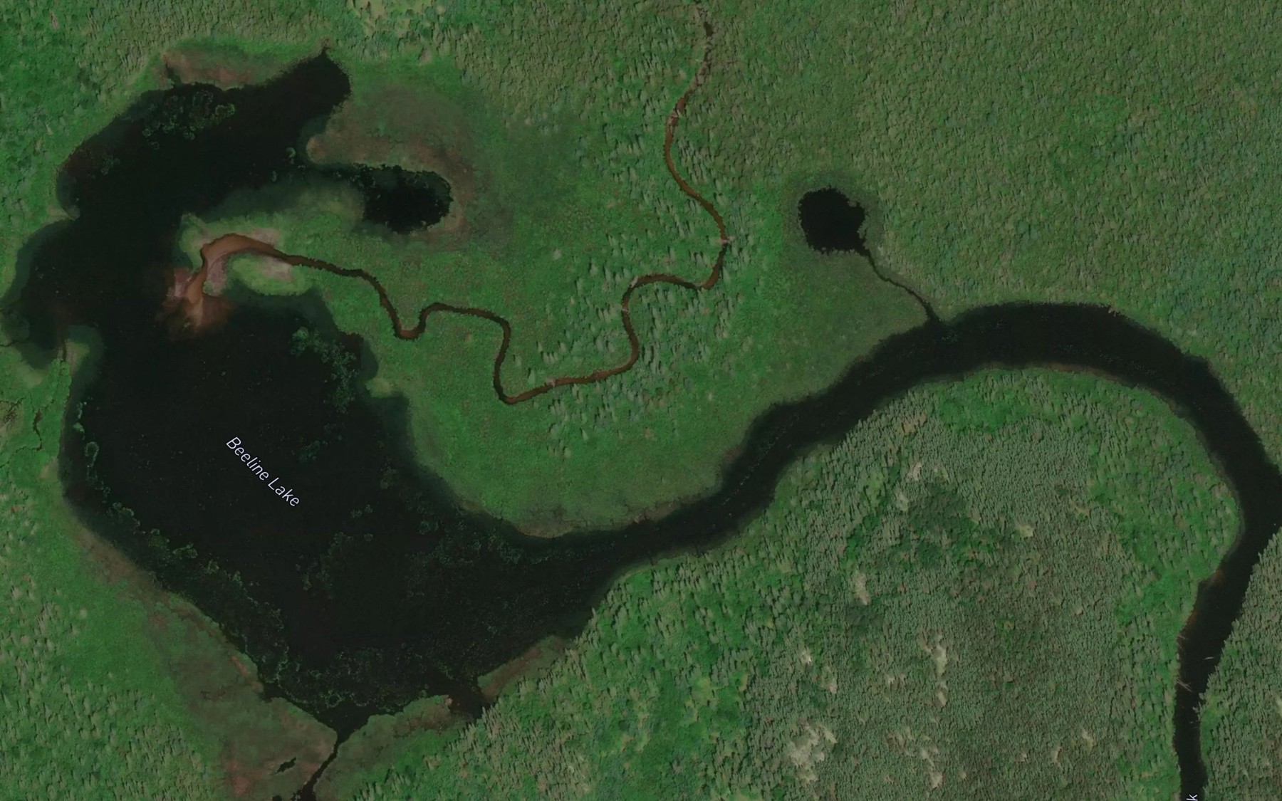 Satellite map of the Beeline Lake