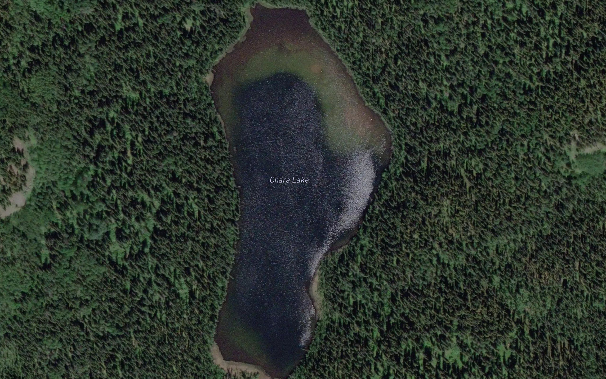 Chara Lake