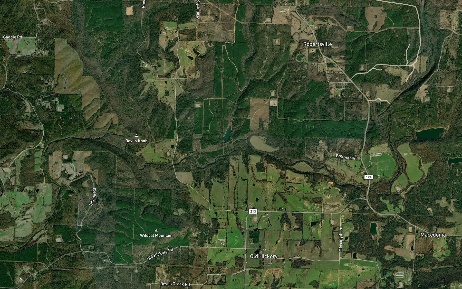 Satellite map of the Cedar Branch