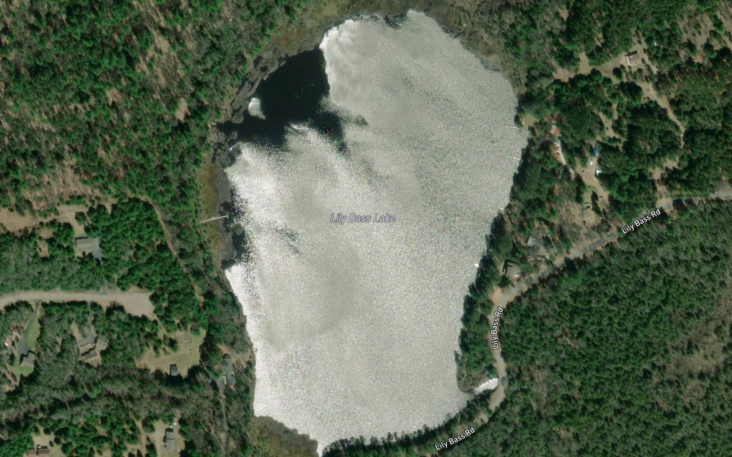 Lily Bass Lake