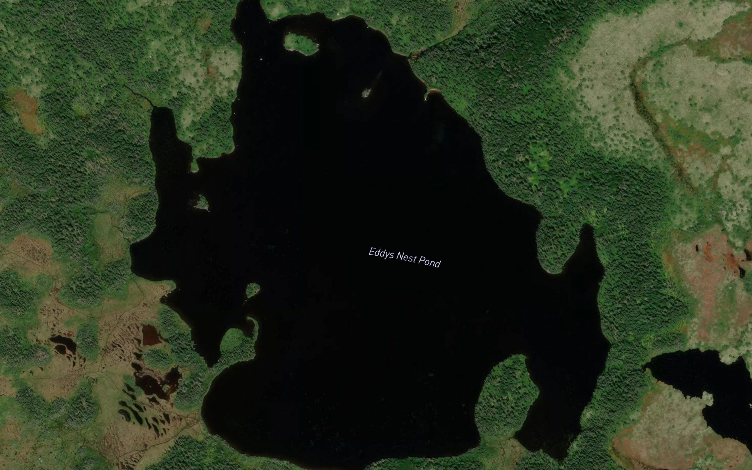 Eddys Nest Pond