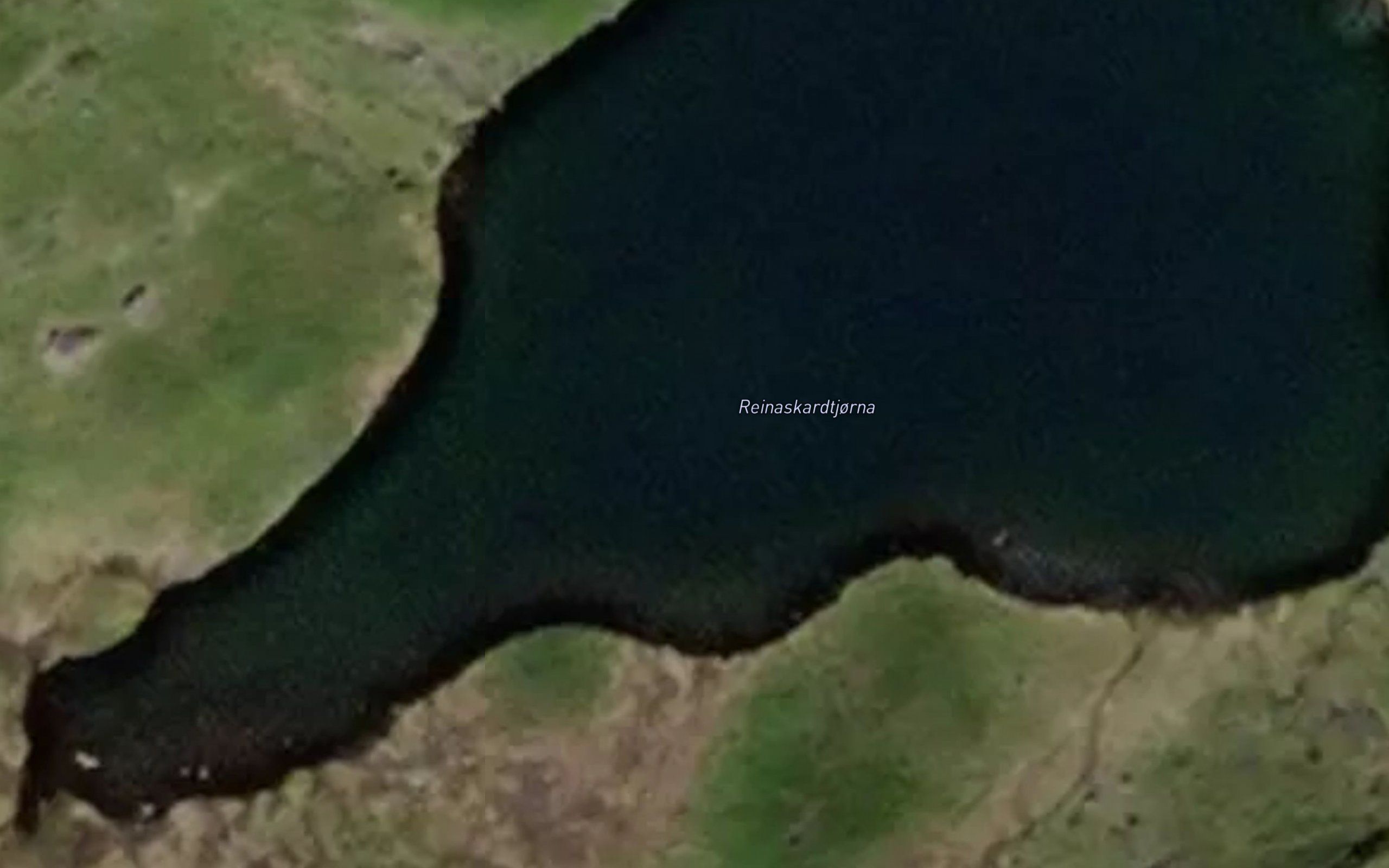 Reinaskardtjorna