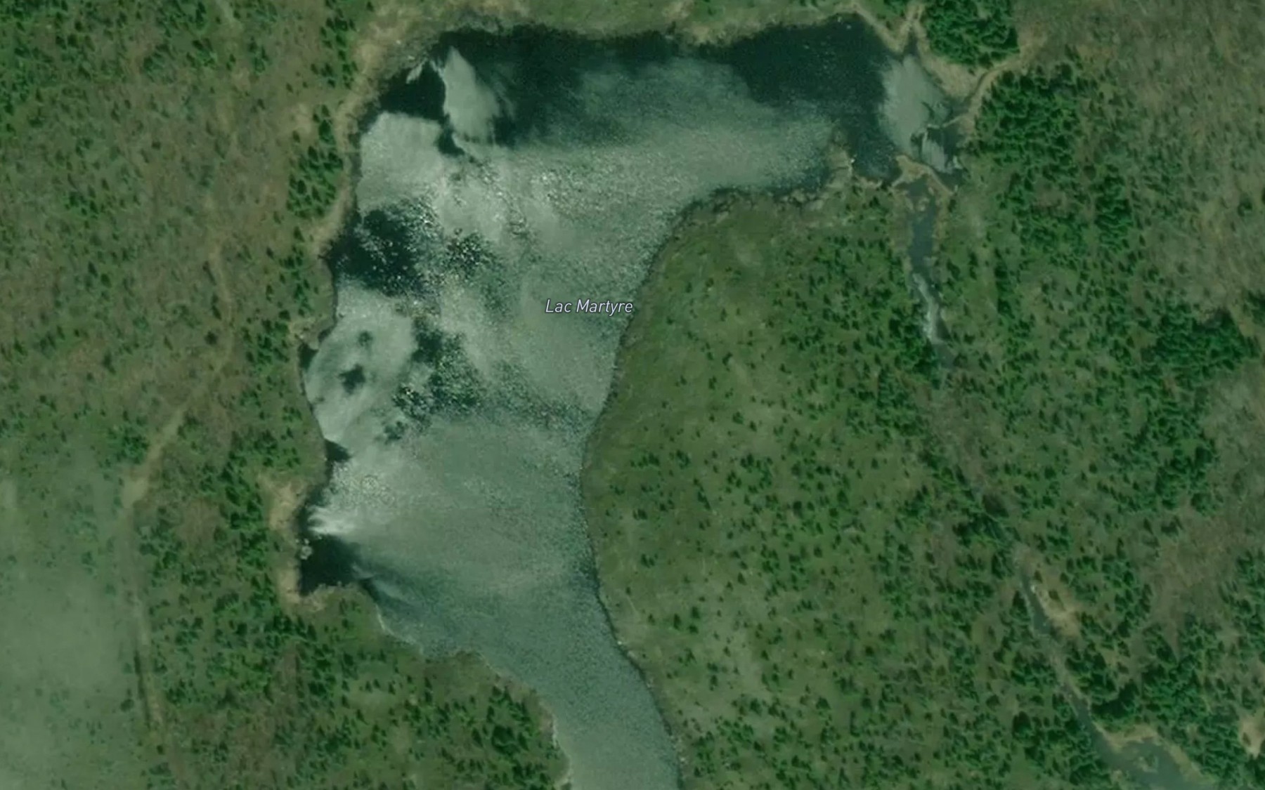 Satellite map of the Lac Martyre