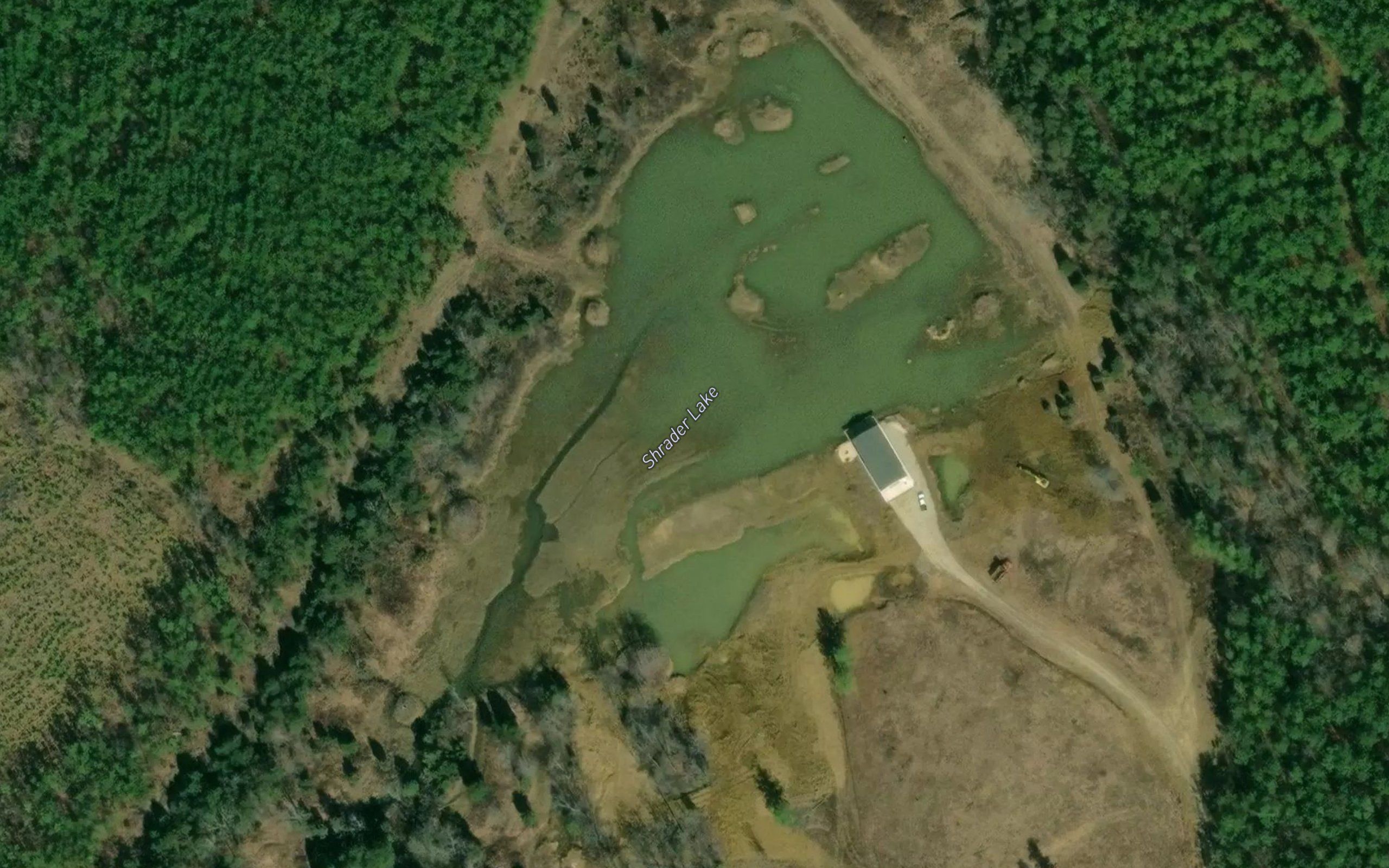 Shrader Lake