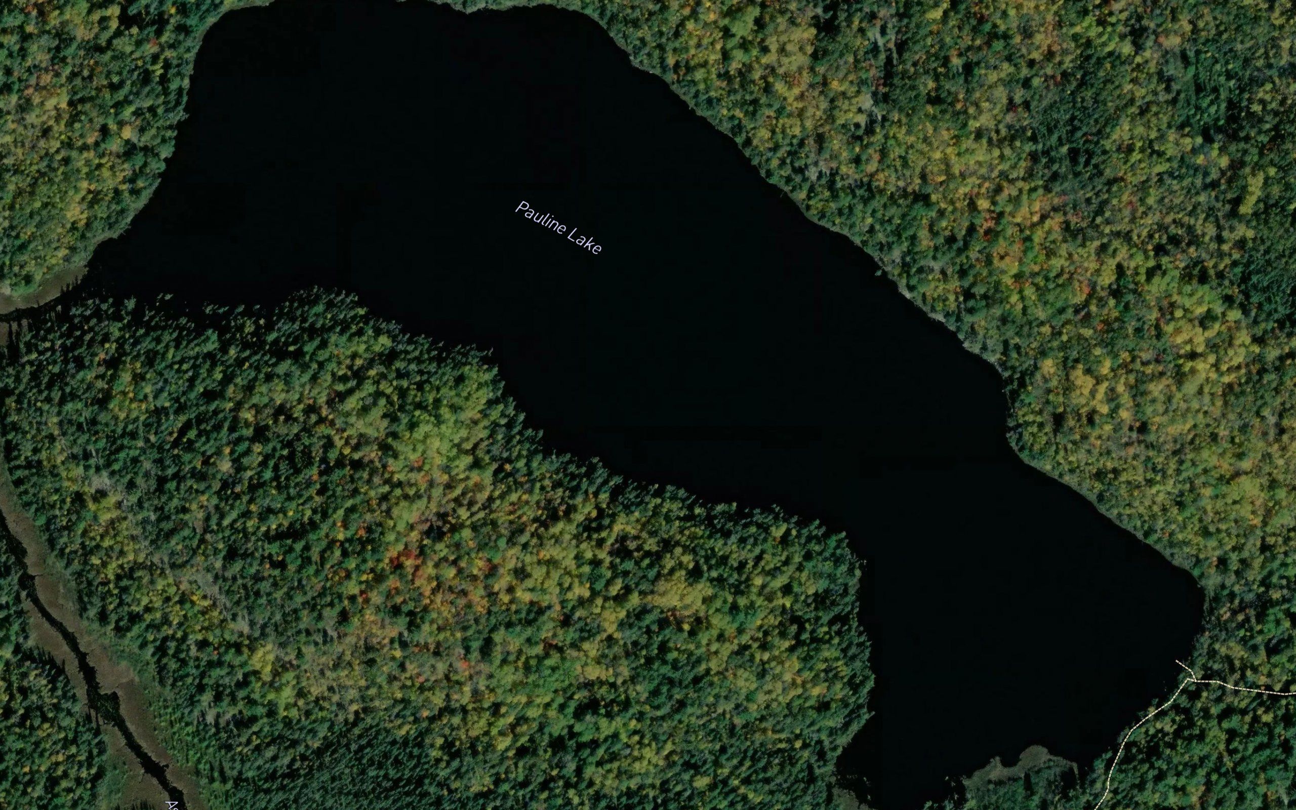 Pauline Lake