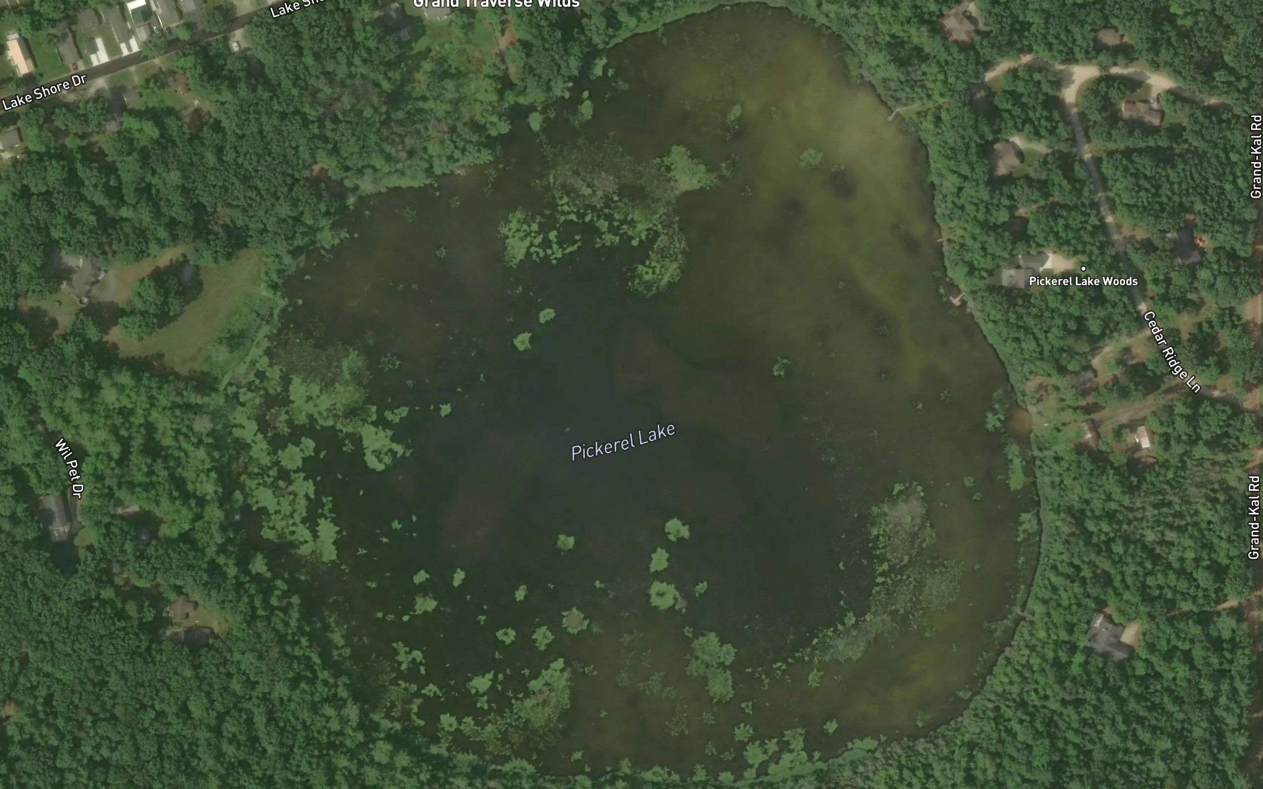 Pickerel Lake