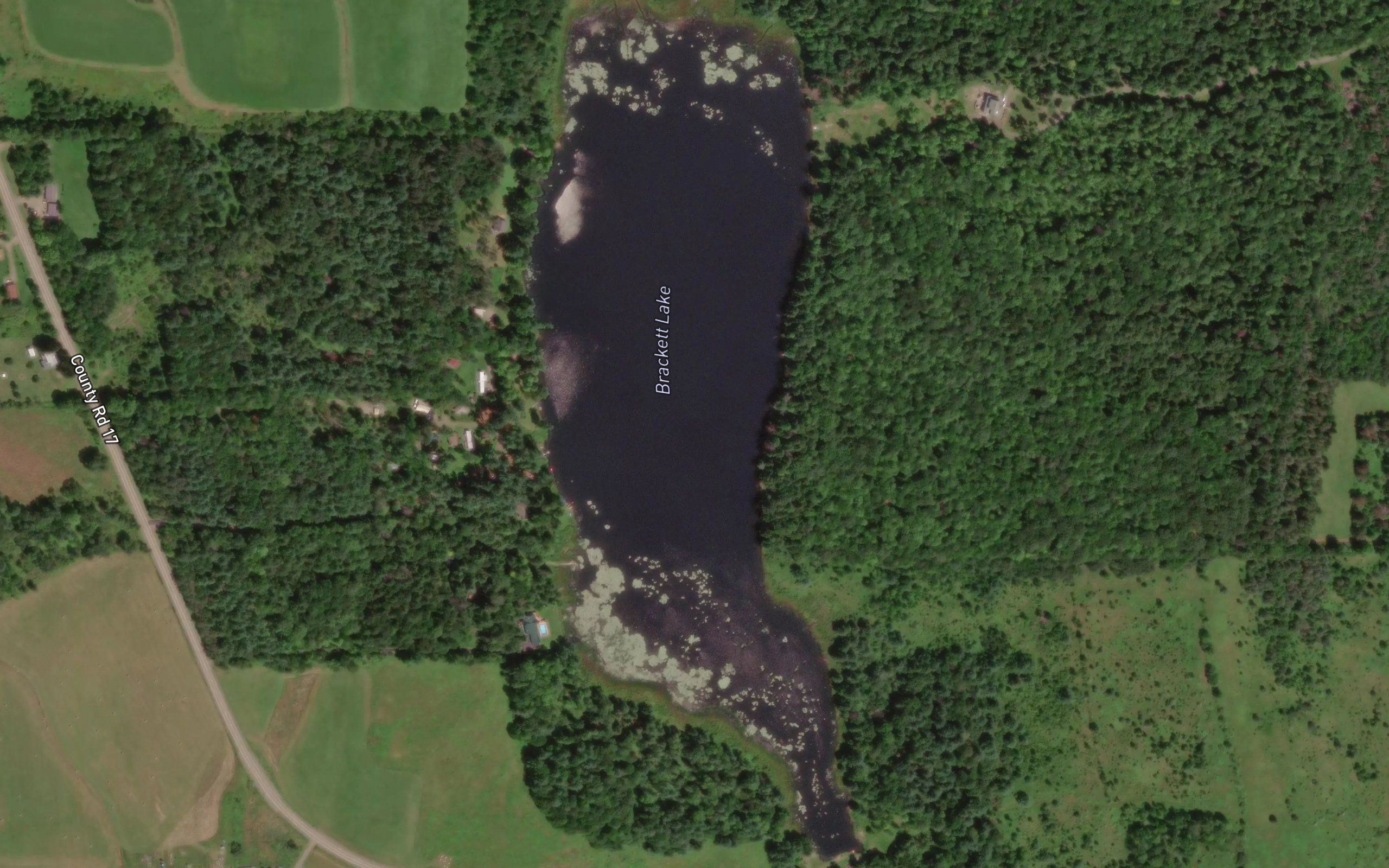 Brackett Lake