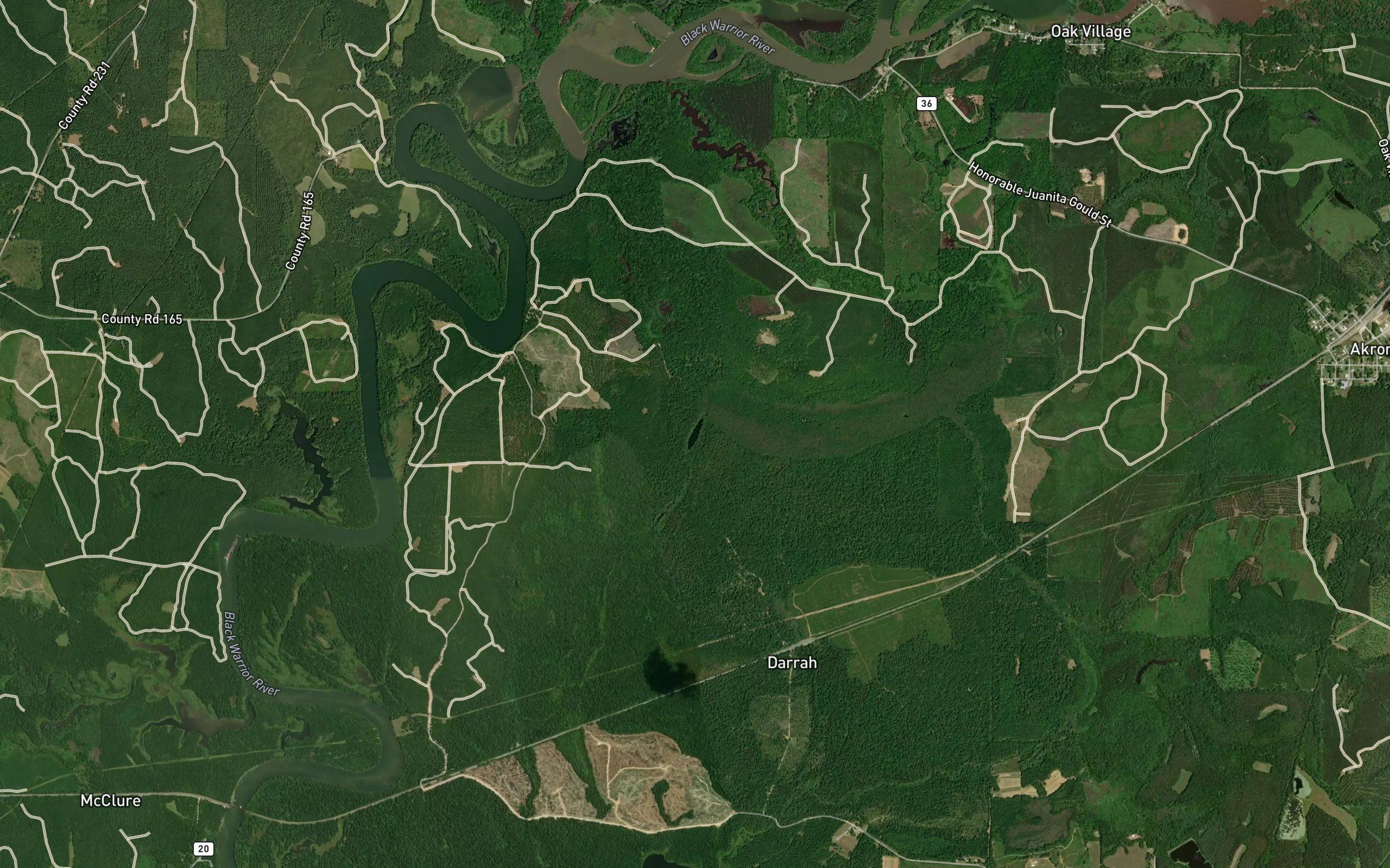 Coleman Pond