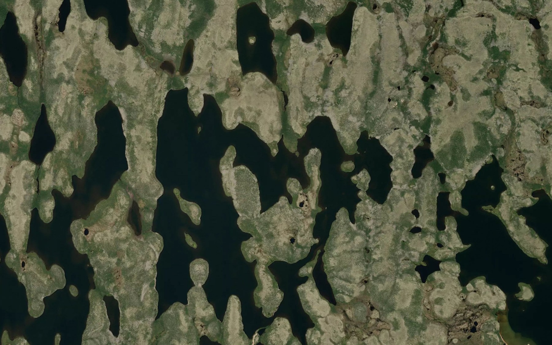 Satellite map of the Younger Lake