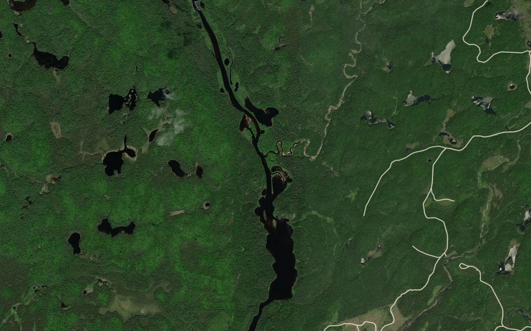 Satellite map of the Bannerman Creek