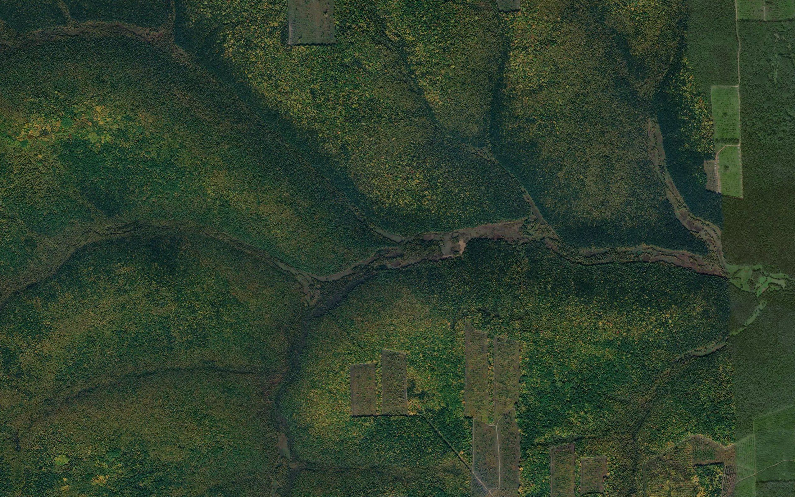 Krasnyy