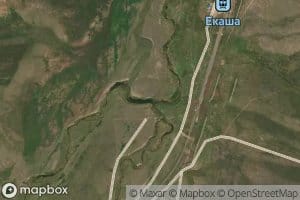 Bursak