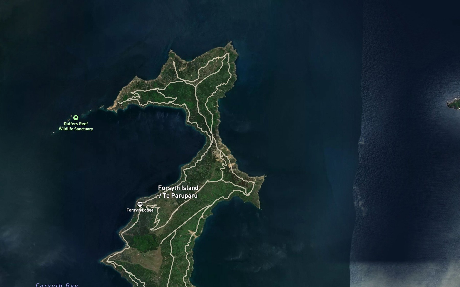 Satellite map of the Pig Bay