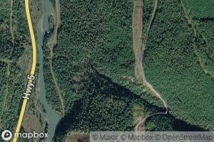 Gum Creek