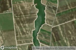 Bacsbokodi-viztarolo