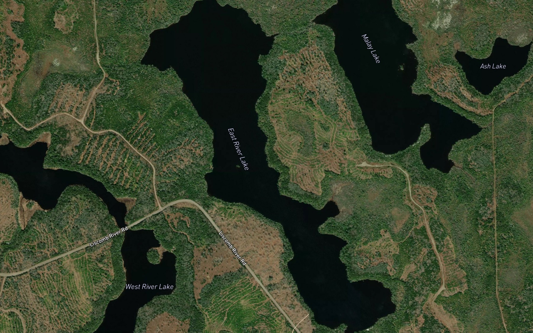 Satellite map of the East River Lake