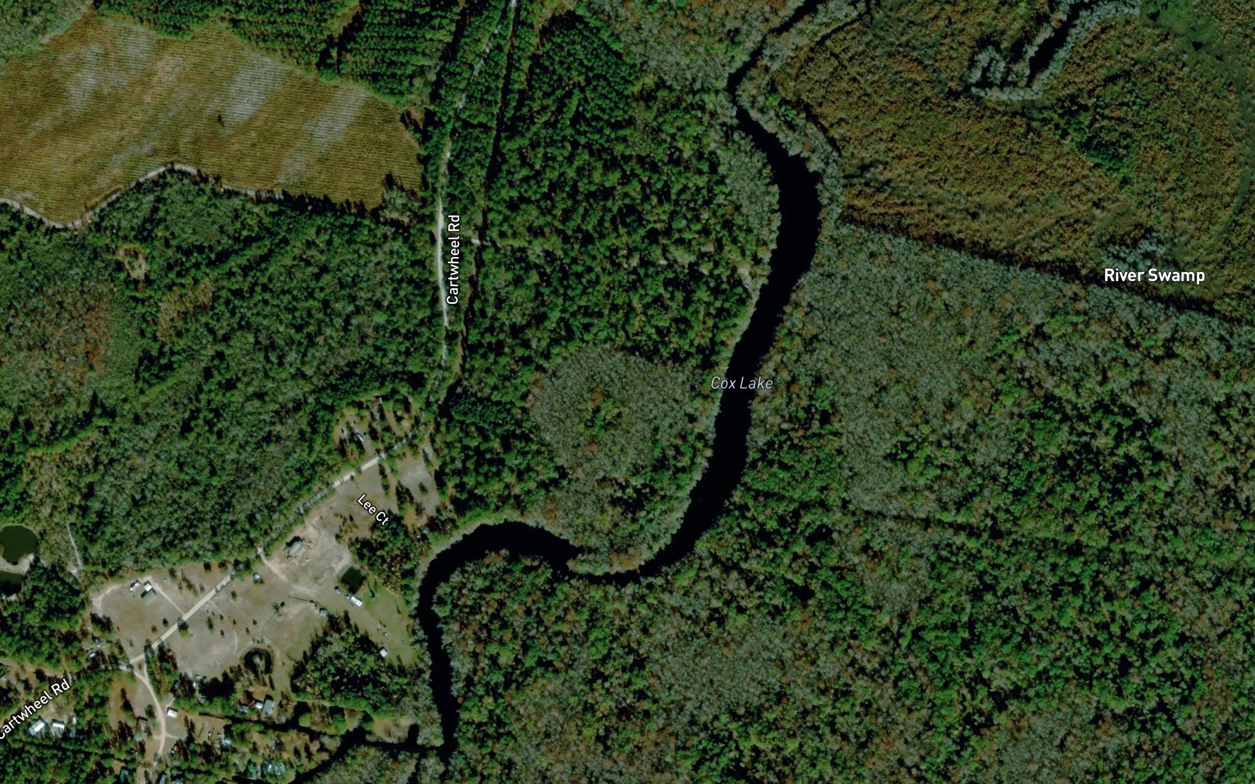 Cox Lake