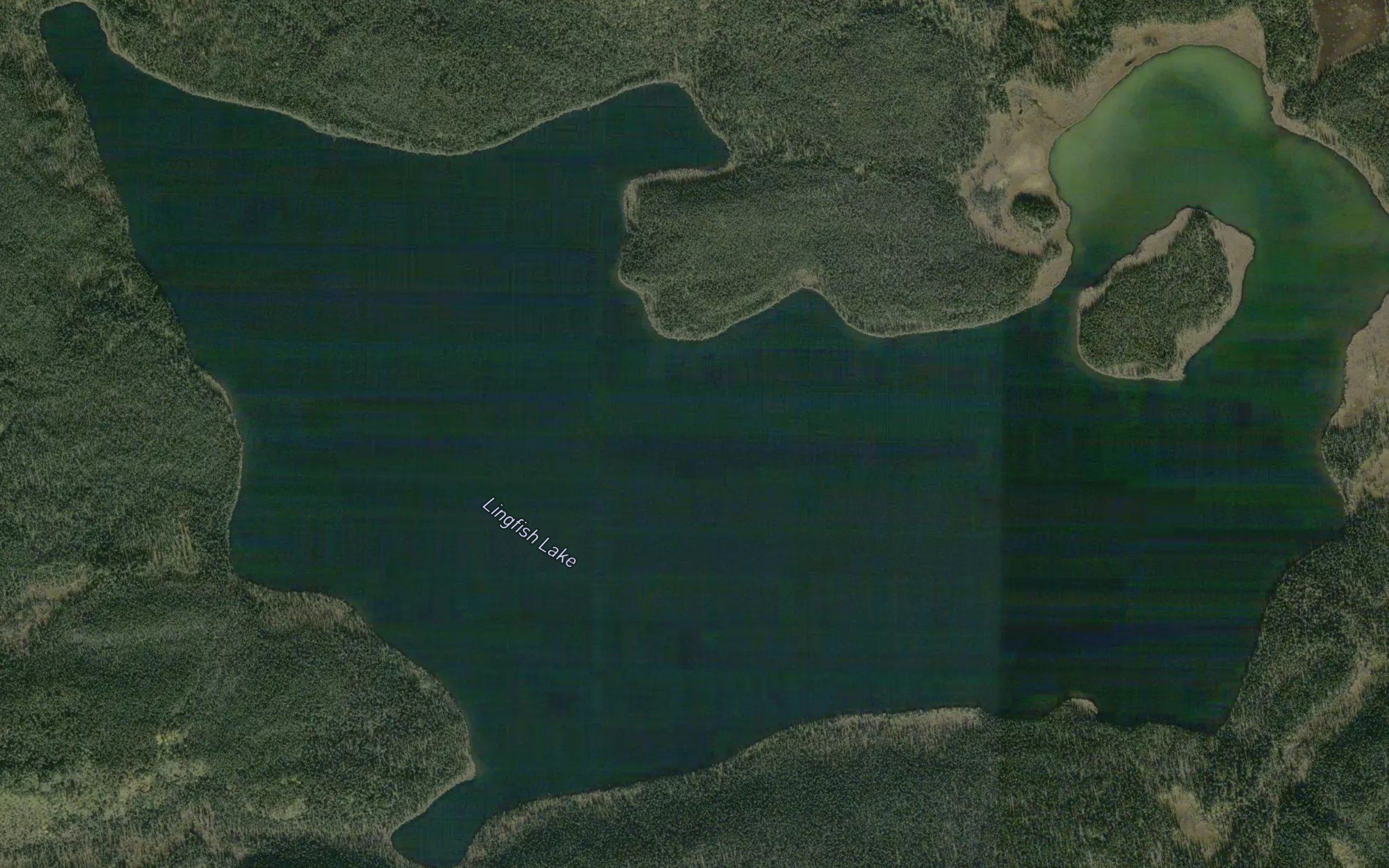 Lingfish Lake