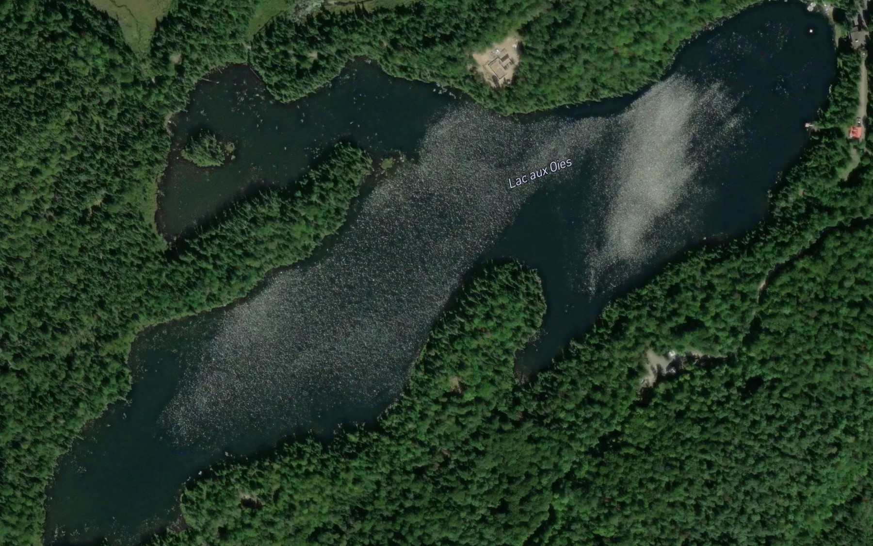 Satellite map of the Lac aux Oies
