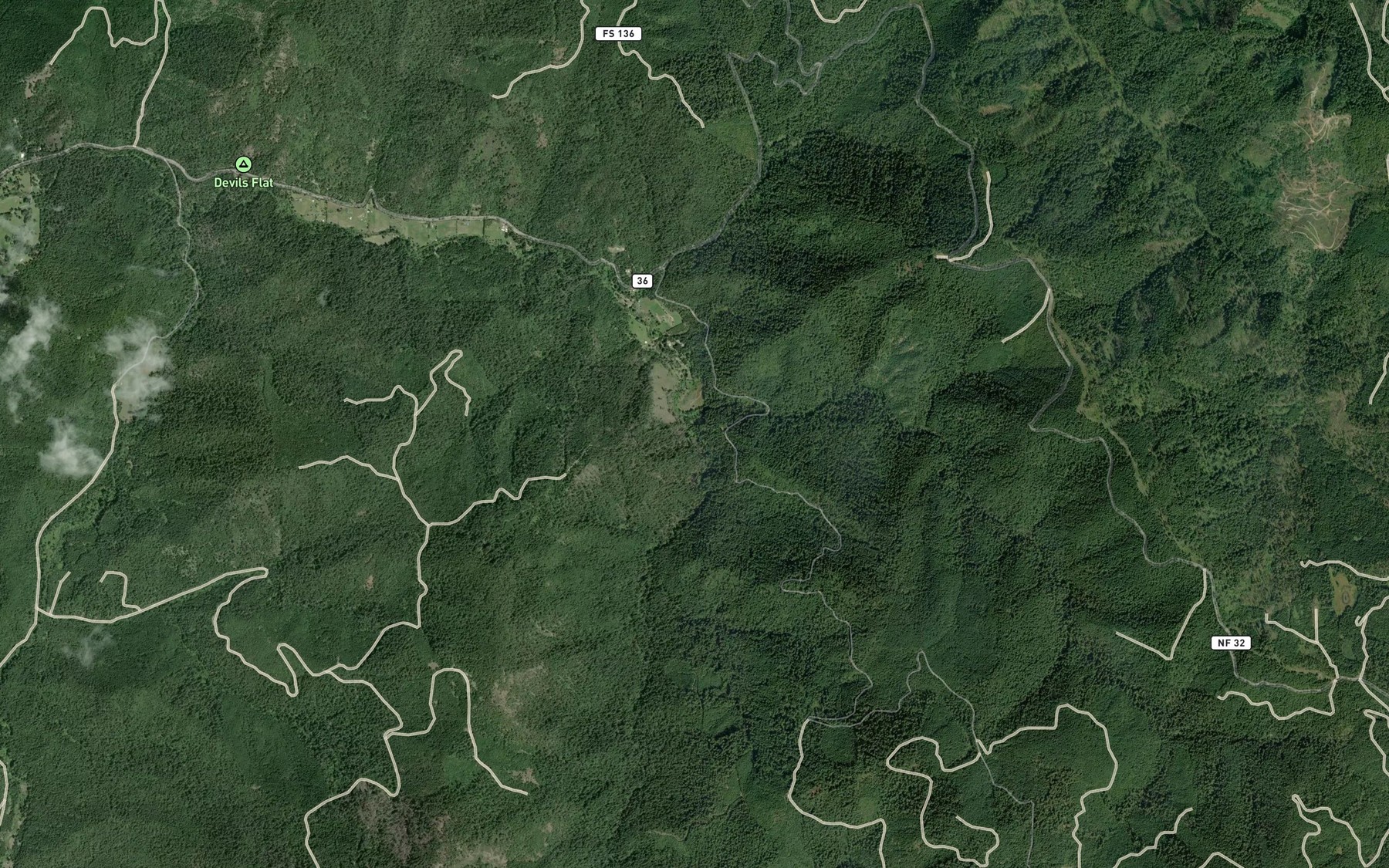Satellite map of the East Fork Cow Creek