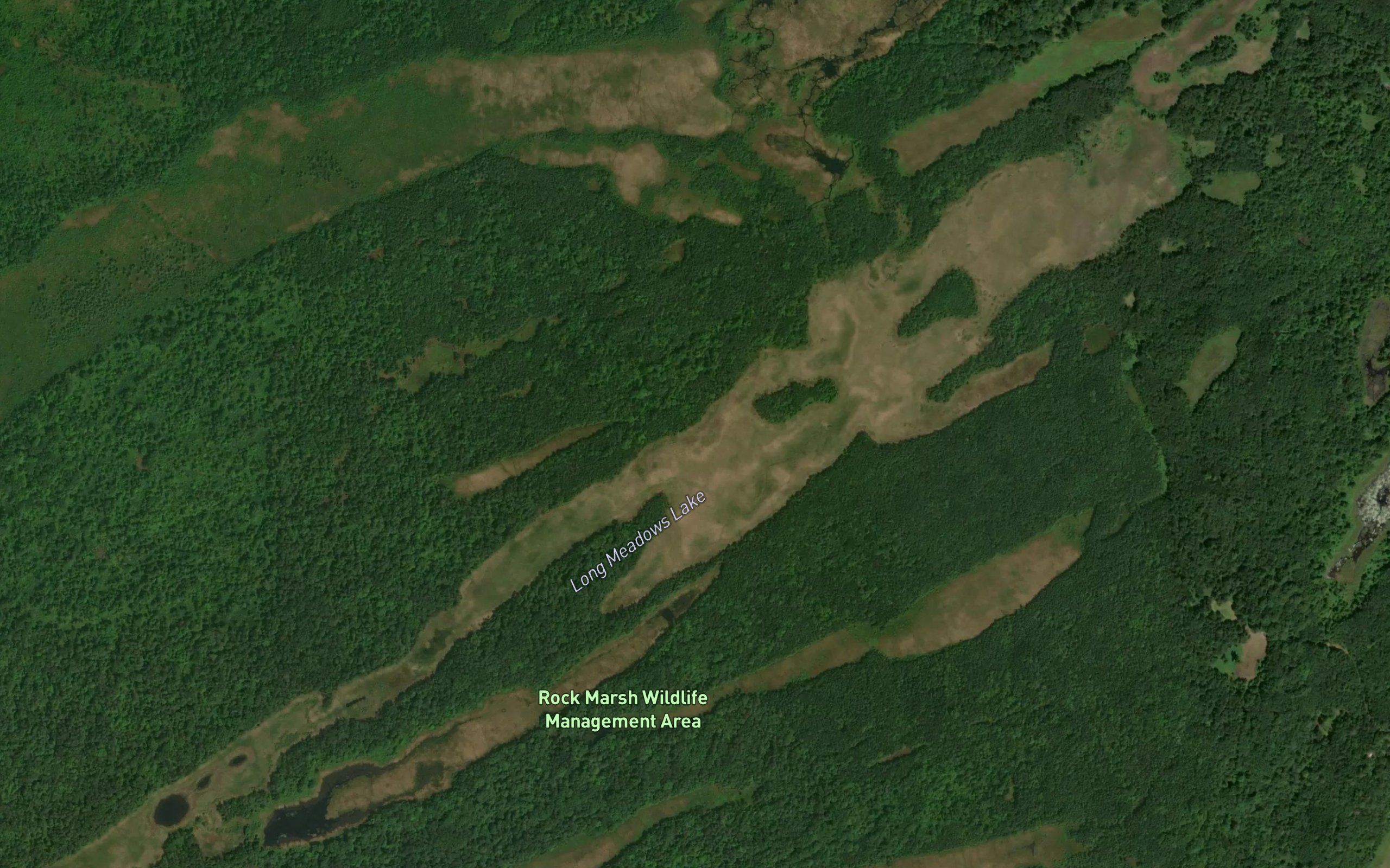 Long Meadows Lake