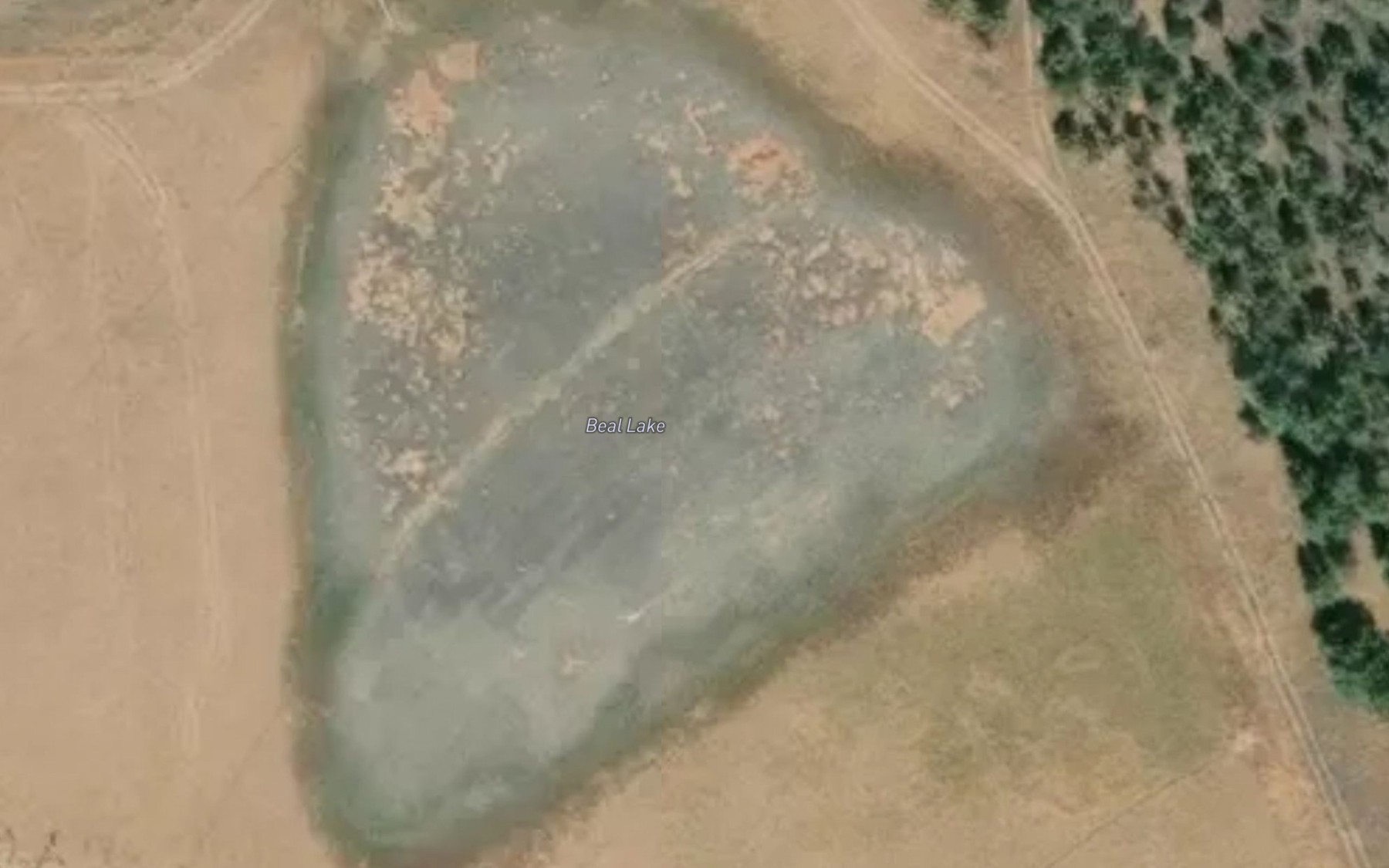 Satellite map of the Beal Lake