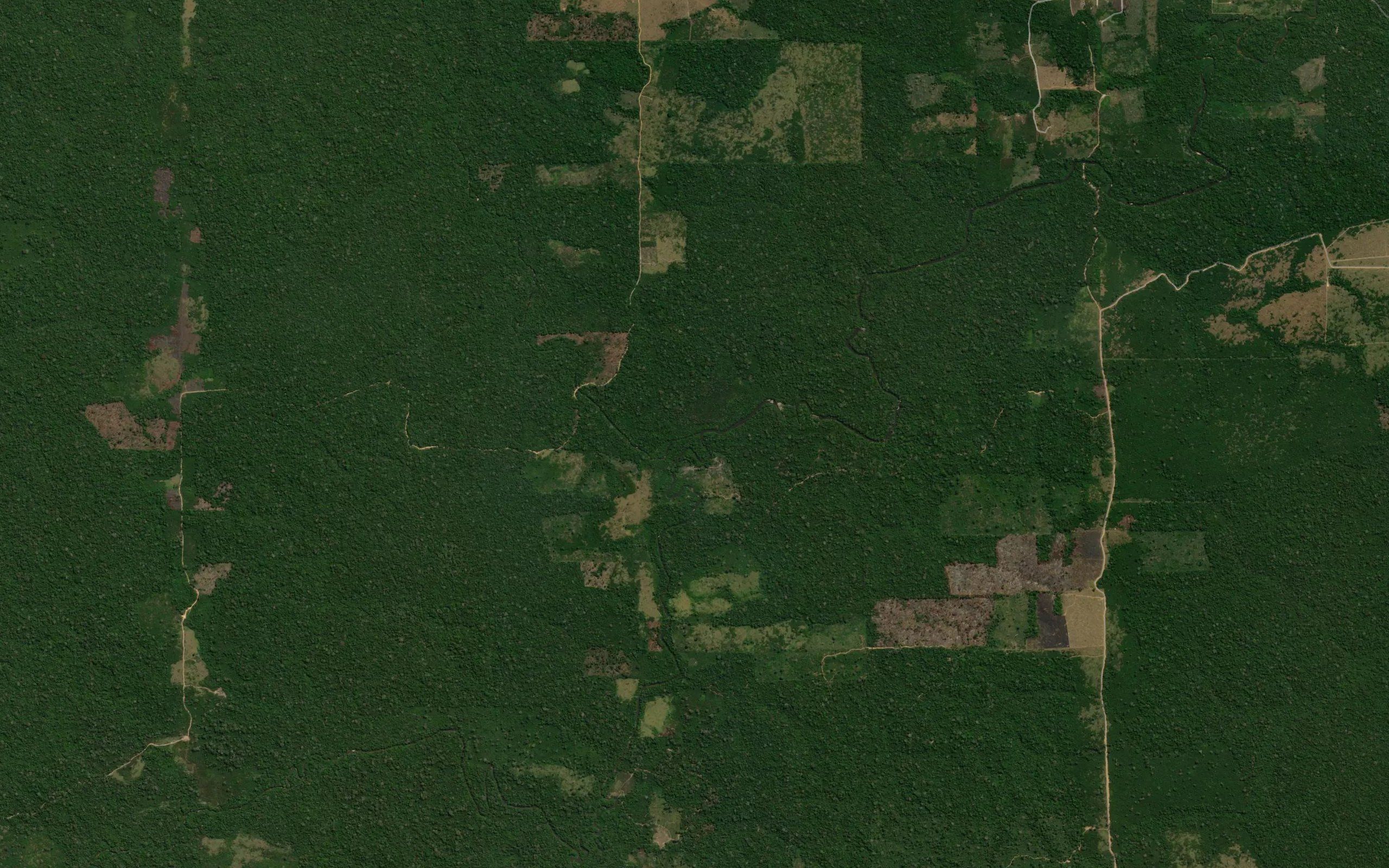 Igarape Pardo