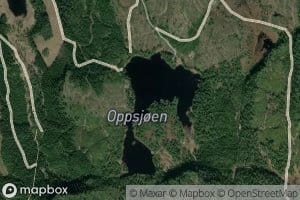 Oppsjoen