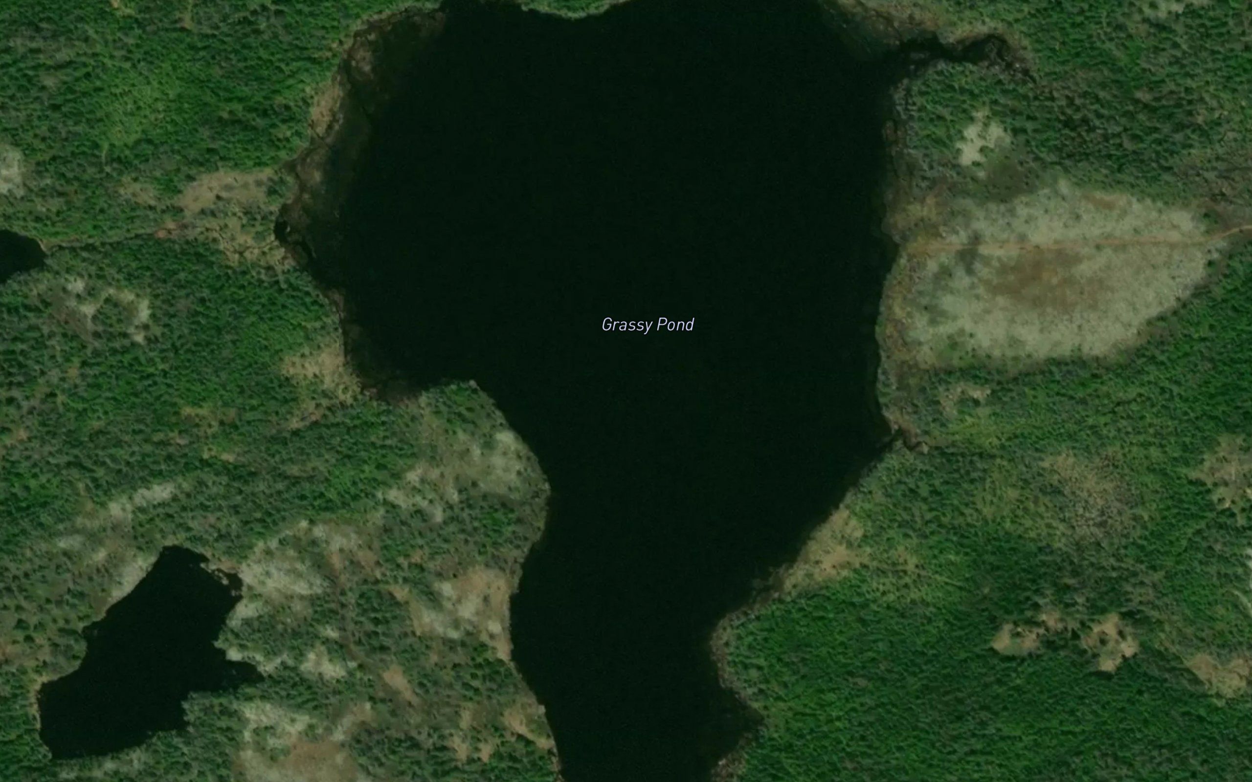 Grassy Pond