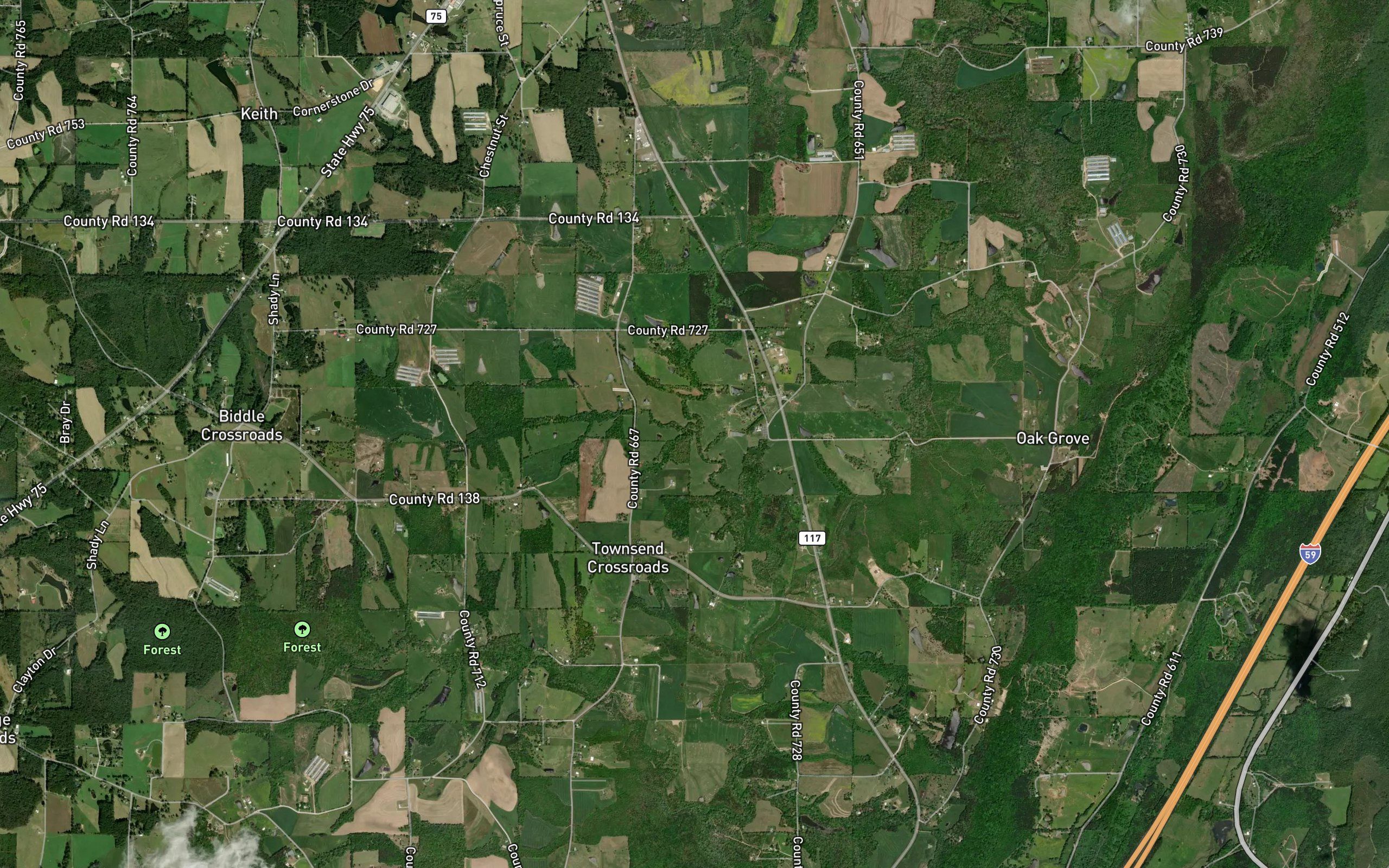 Evans Spring Branch