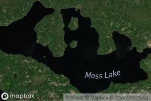Moss Lake