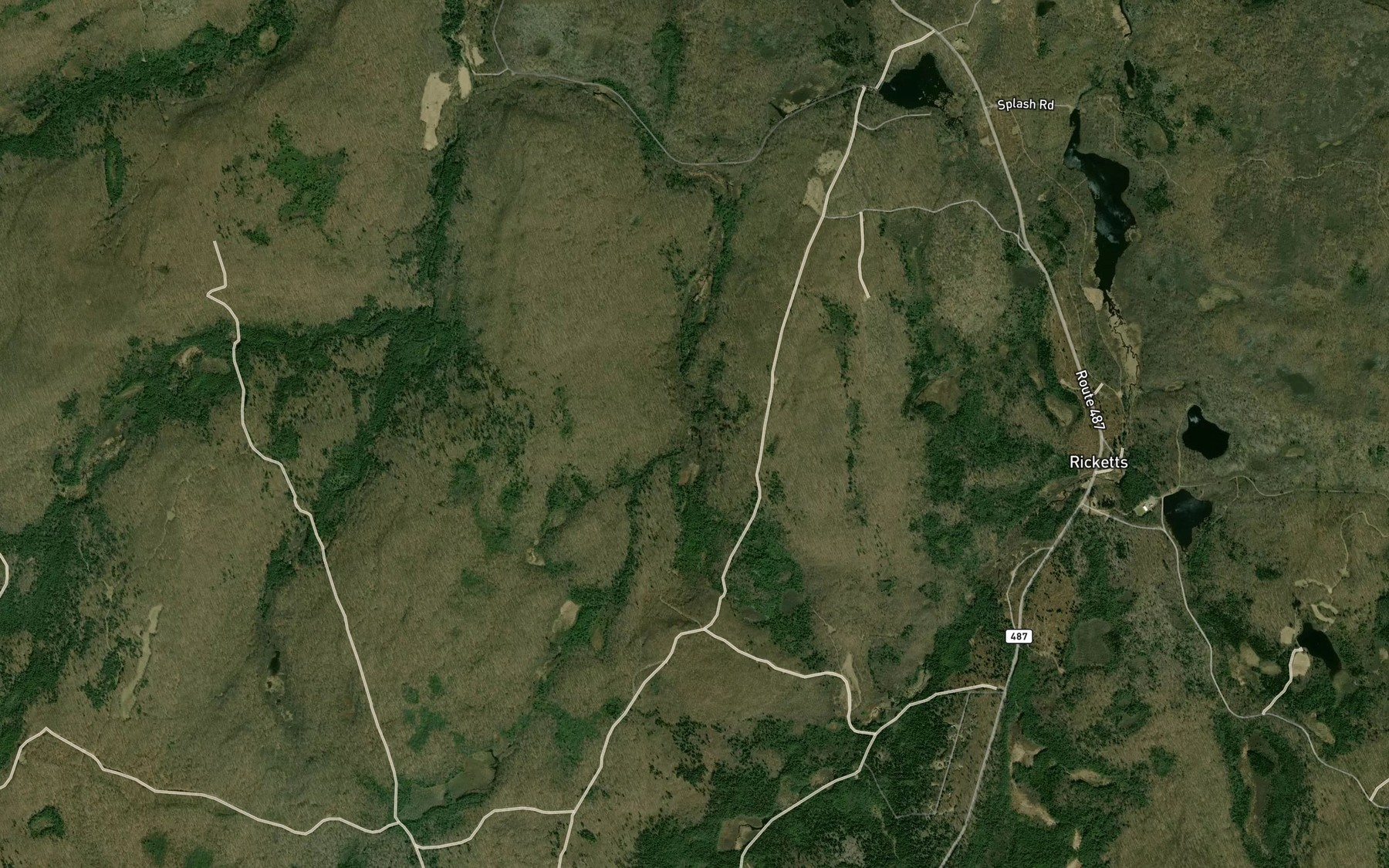 Satellite map of the Bear Swamp Run