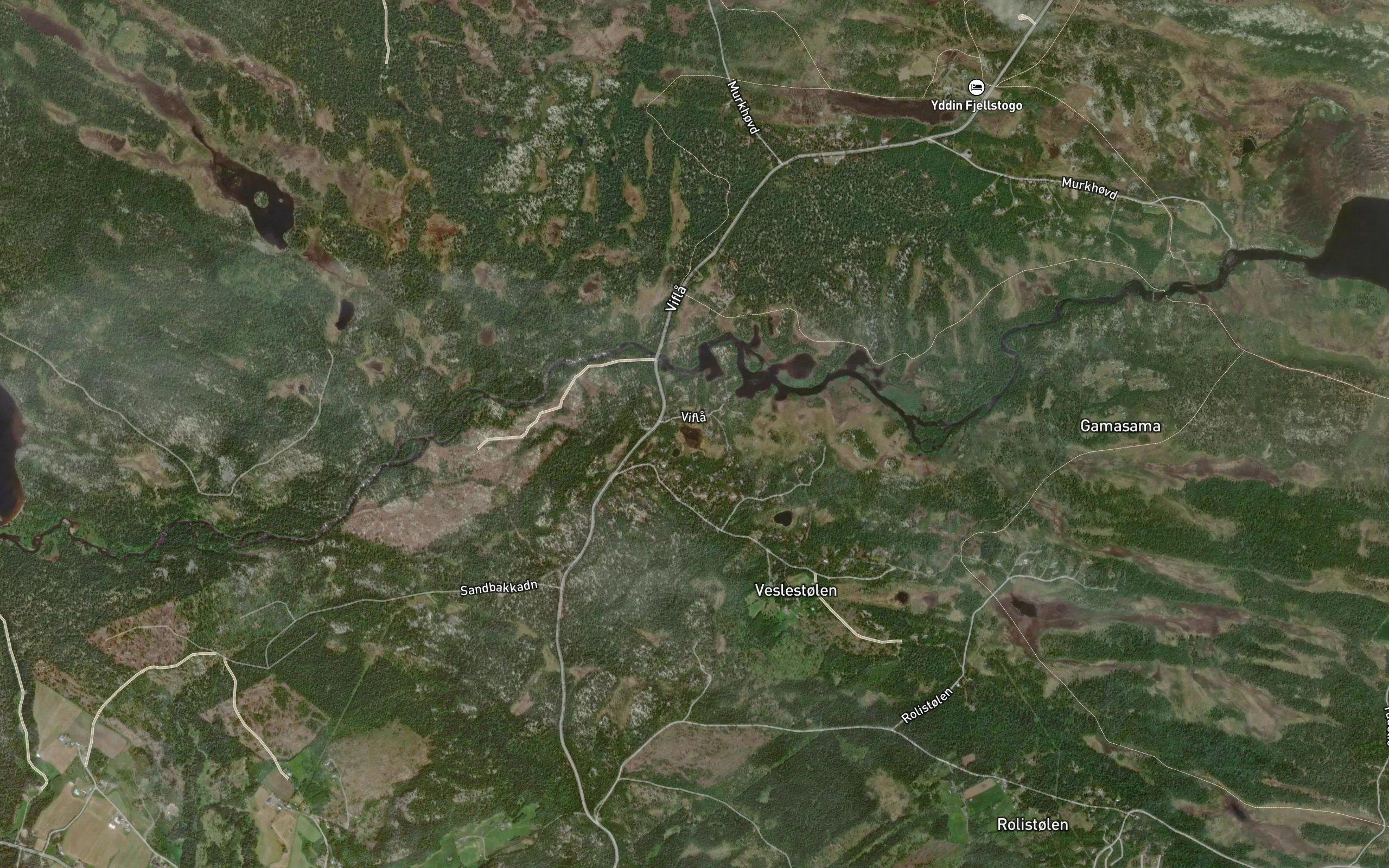 Svinetjednet